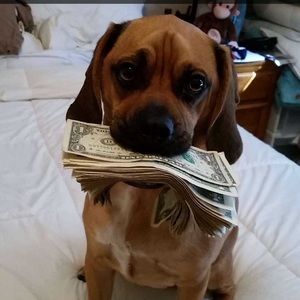 Meet your Posher, Connor