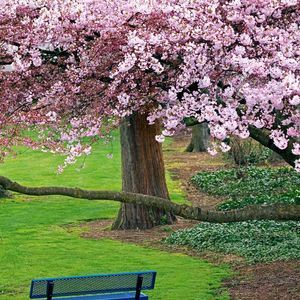 Meet your Posher, Lucy