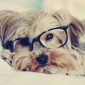 Meet your Posher, Ellis