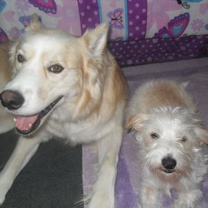 Meet your Posher, Sml