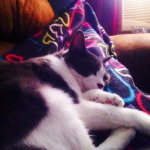 Meet your Posher, Amber