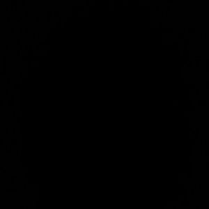 Meet your Posher, Joyce