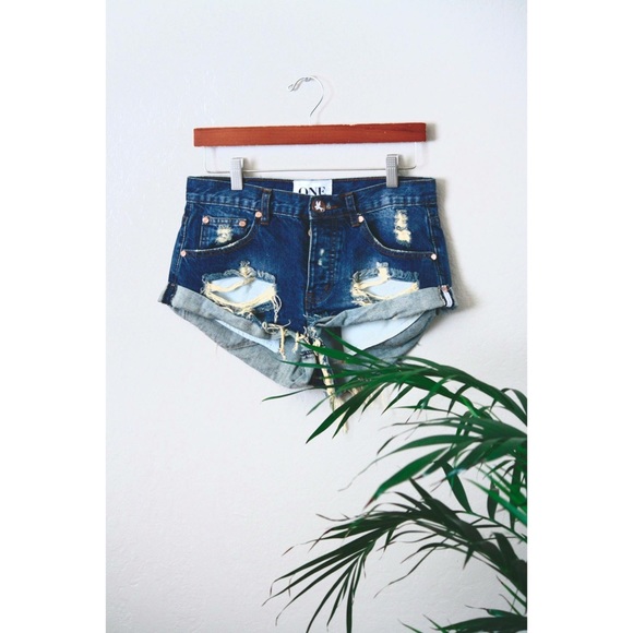 One Teaspoon Bandits