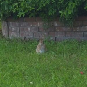 Meet your Posher, Jayme