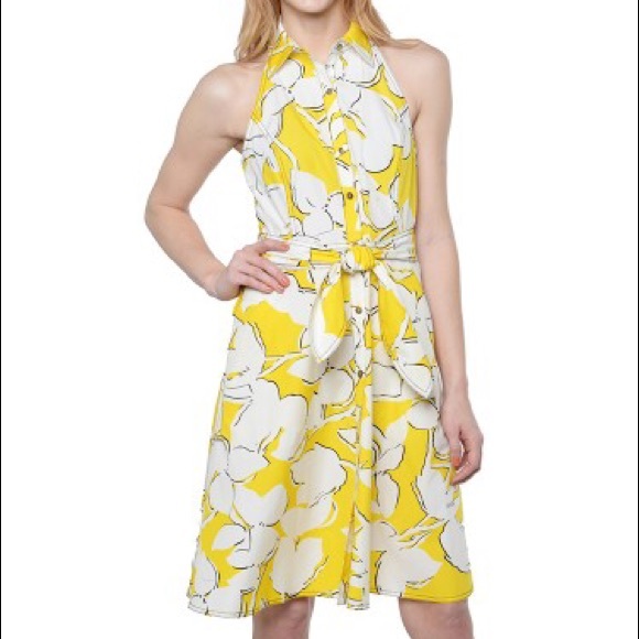 Diane von Furstenberg Tenner halter shirt dress