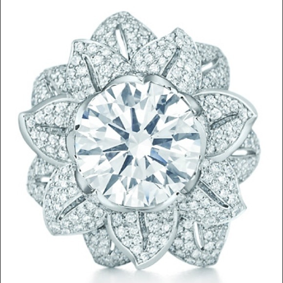 Meet your Posher, Araceli