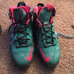 Lebron James Nike Shoes