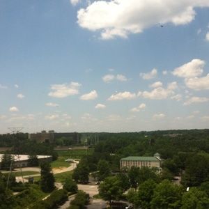 Meet your Posher, Deidre