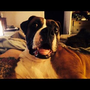 Meet your Posher, Terry