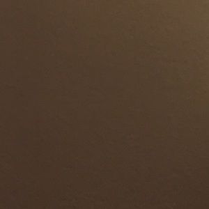 Meet your Posher, Dianna