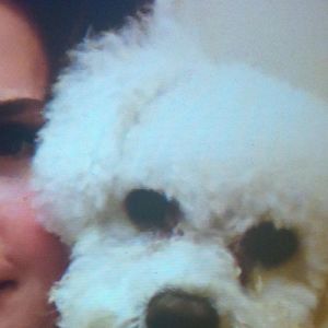 Meet your Posher, Maria