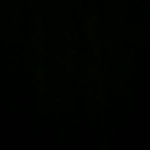 Meet your Posher, Rocio