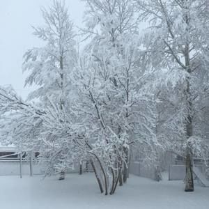 Meet your Posher, Jo