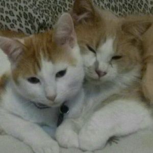 Meet your Posher, Karleen