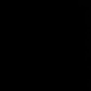 Meet your Posher, Bruce