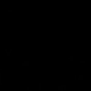 Meet your Posher, Gabriel