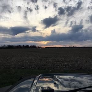 Meet your Posher, Michaelene