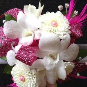 Meet your Posher, Latanna