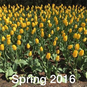 Meet your Posher, Marilyn