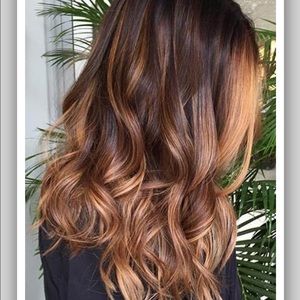 Meet your Posher, Dedra