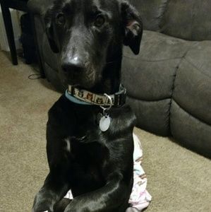 Meet your Posher, Jasmine