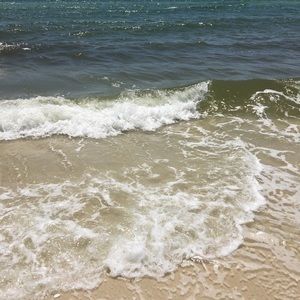 Meet your Posher, Shyla