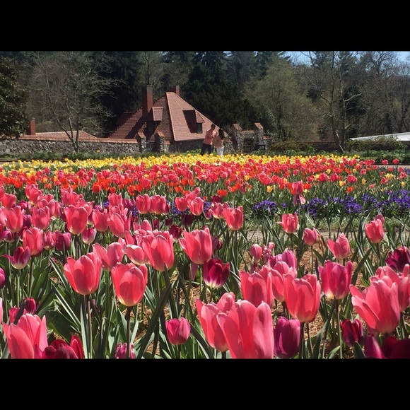 Meet your Posher, Sarah - Picture 1 of 1