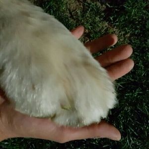 Meet your Posher, Olga