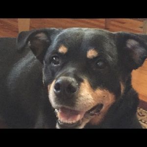 Meet your Posher, Tracy