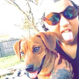 Meet your Posher, Alvin