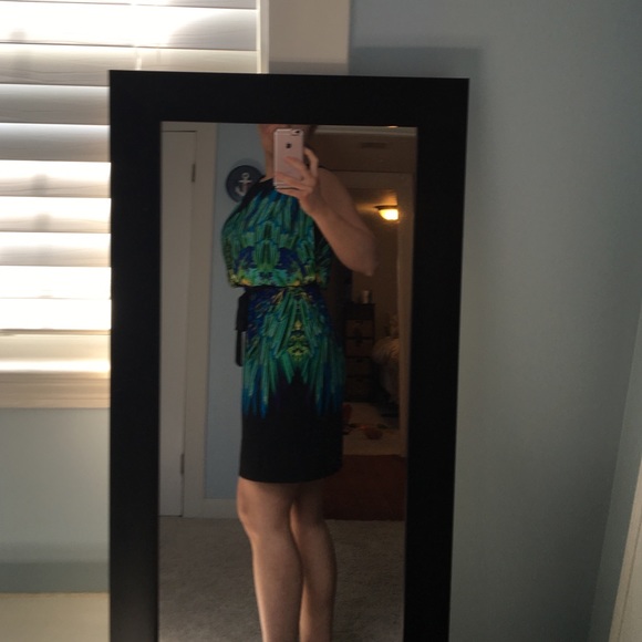 Gorgeous Peacock Dress - Picture 2 of 3