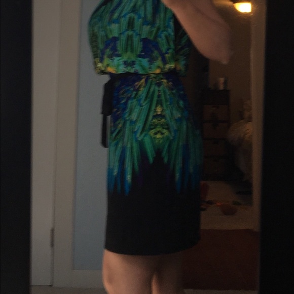 Gorgeous Peacock Dress - Picture 3 of 3