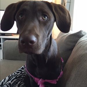 Meet your Posher, August