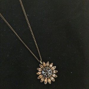 Beautiful fossil necklace.