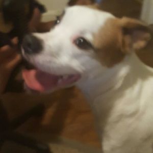 Meet your Posher, Angie