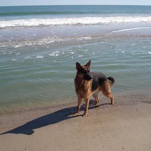 Meet your Posher, Marika