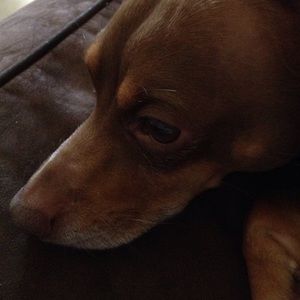 Meet your Posher, Jade