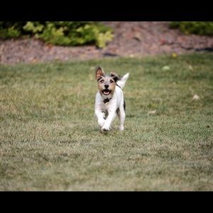 Meet your Posher, Lea