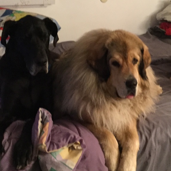 Meet your Posher, Ilene