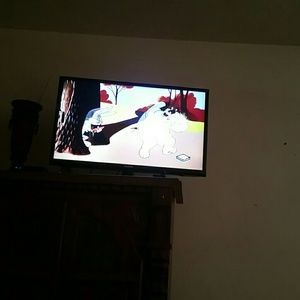 Meet your Posher, Carolina