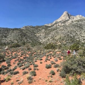 Meet your Posher, Michele