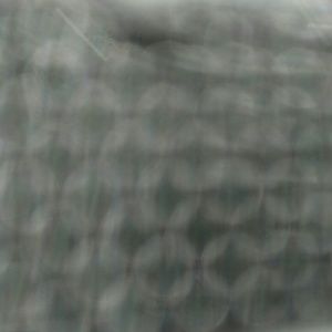 Meet your Posher, Caralyn