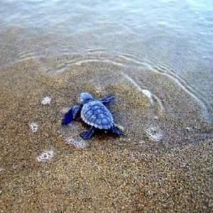 Meet your Posher, Kiley