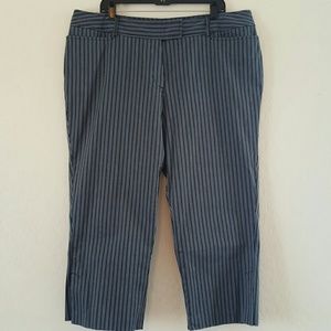 Plus size Blue/Navy Capri pants. *Never worn*