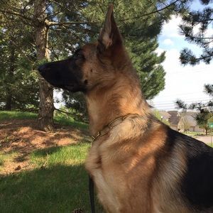 Meet your Posher, Inna