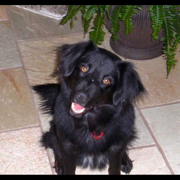 π Meet your Seller π - Picture 3 of 4