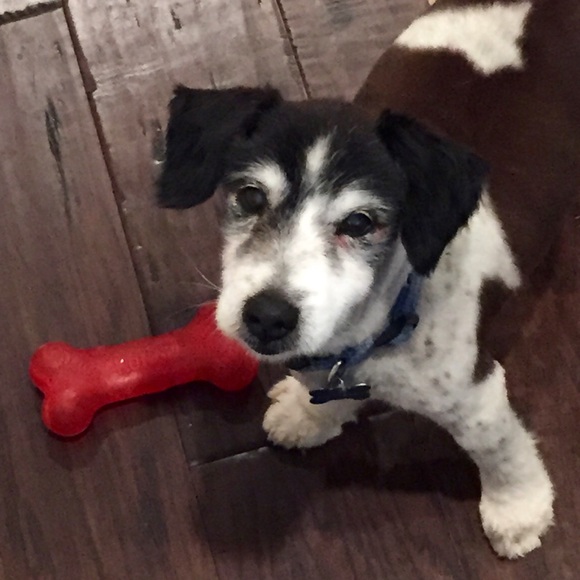 π Meet your Seller π - Picture 4 of 4