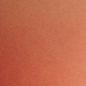 Meet your Posher, Marta