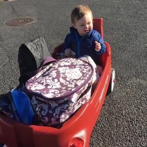 Meet your Posher, Dawn anne