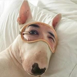 Meet your Posher, Moe